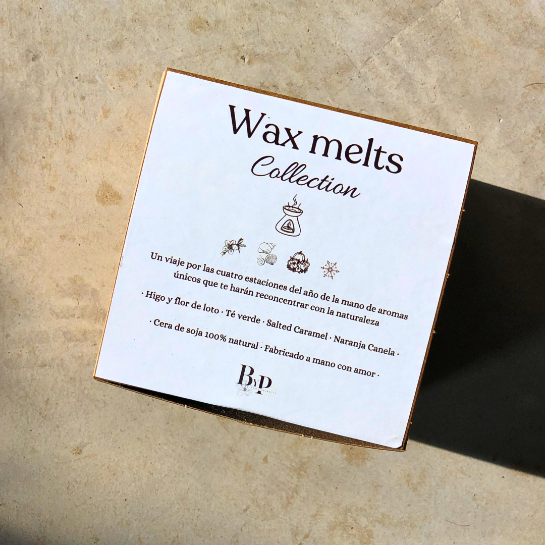 Pack degustación Wax Melts